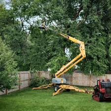  Wilkinsburg, PA Tree Removal and Landscaping Services Pros